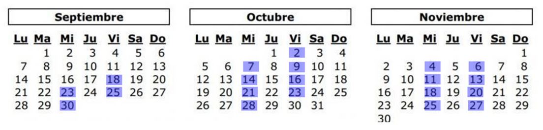 fechas peritaje